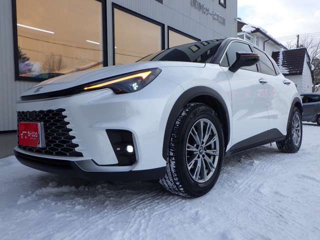 レクサス ＬＢＸ クール Ｅ－ＦＯＵＲ ４ＷＤ R6年 (北海道) 99