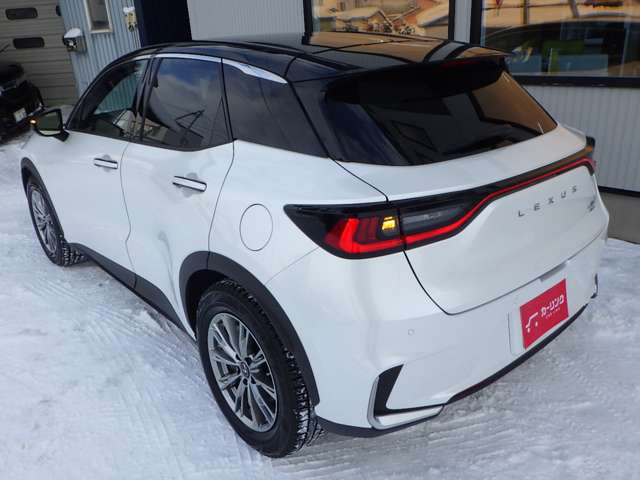 レクサス ＬＢＸ クール Ｅ－ＦＯＵＲ ４ＷＤ R6年 (北海道) 99