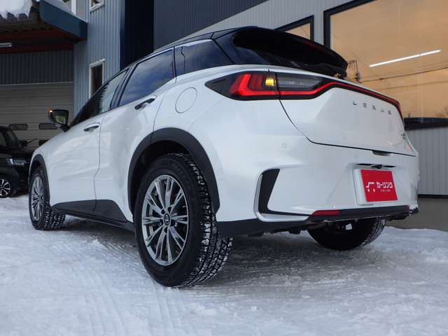 レクサス ＬＢＸ クール Ｅ－ＦＯＵＲ ４ＷＤ R6年 (北海道) 99