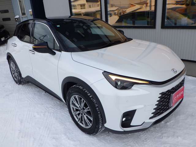 レクサス ＬＢＸ クール Ｅ－ＦＯＵＲ ４ＷＤ R6年 (北海道) 99