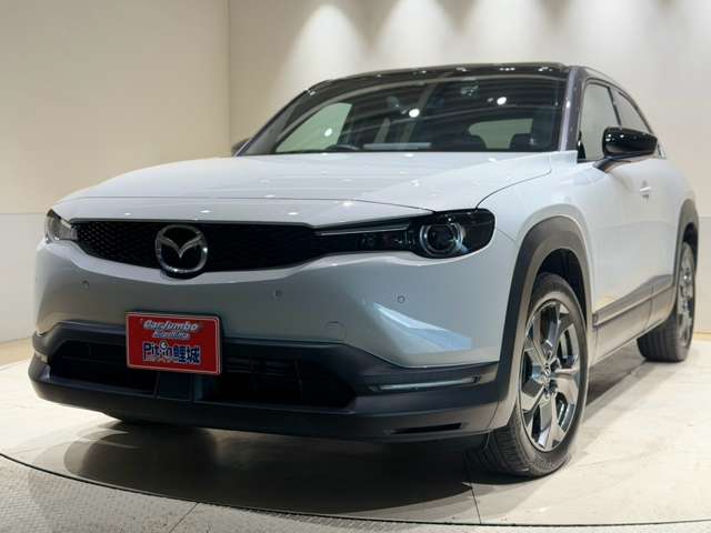 マツダ ＭＸ−３０　ＥＶ ＥＶ ハイエスト セット R4年 (中国) 99