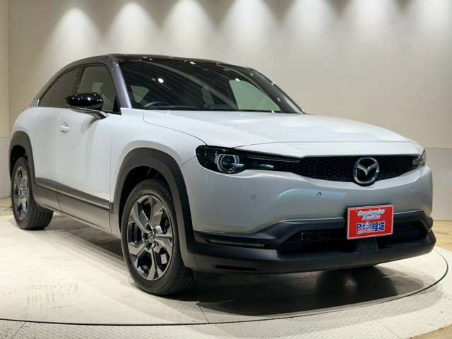 マツダ ＭＸ−３０　ＥＶ ＥＶ ハイエスト セット R4年 (中国) 99