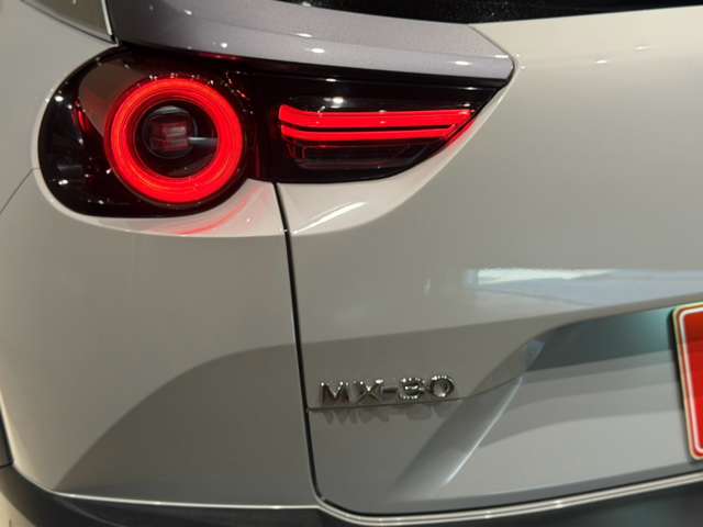 マツダ ＭＸ−３０　ＥＶ ＥＶ ハイエスト セット R4年 (中国) 99