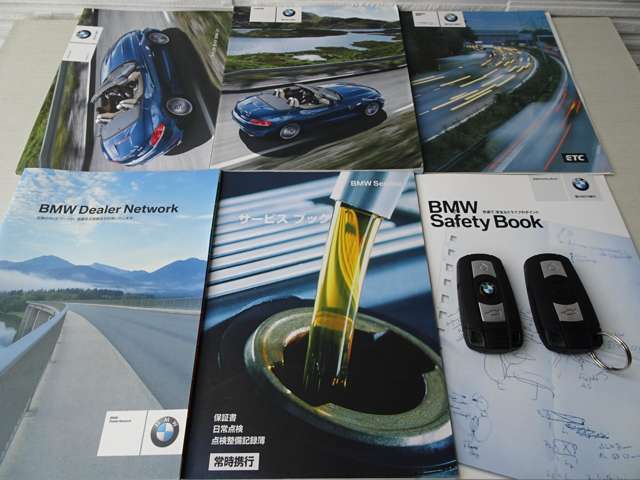 ＢＭＷ Ｚ４ Ｓドライブ ２３Ｉ ハイラインパッケージ H21年 (関東) 99