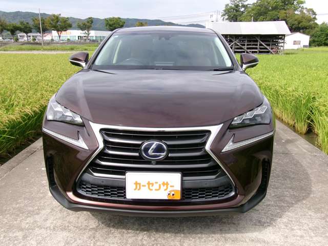 レクサス ＮＸ３００ｈ ３００Ｈ バージョンＬ ４ＷＤ H27年 (近畿) 99