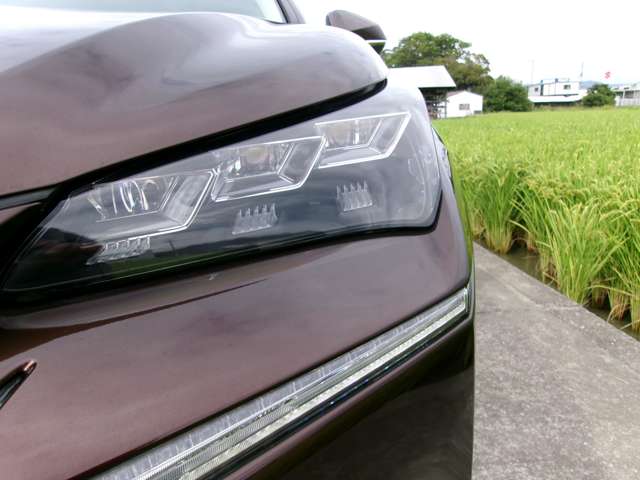 レクサス ＮＸ３００ｈ ３００Ｈ バージョンＬ ４ＷＤ H27年 (近畿) 99
