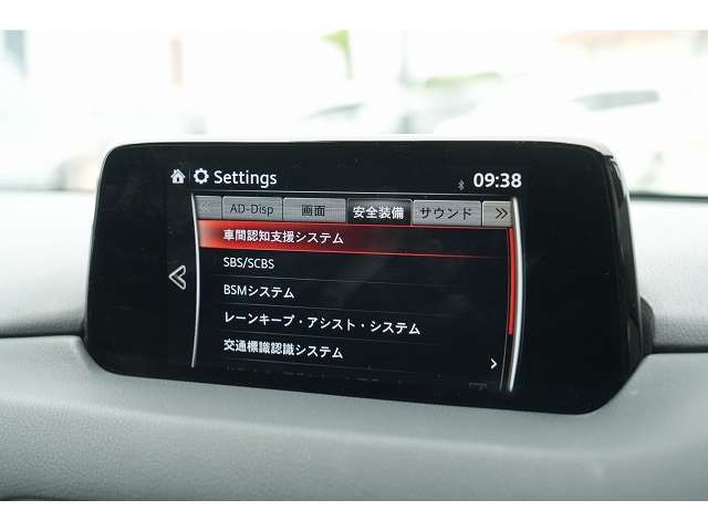 マツダ ＣＸ−８ ２．２ ＸＤ プロアクティブ ディーゼルターボ ４ＷＤ H30年 (関東) 99