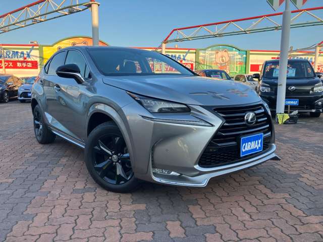 レクサス ＮＸ２００ｔ アーバンスタイル H29年 (関東) 99