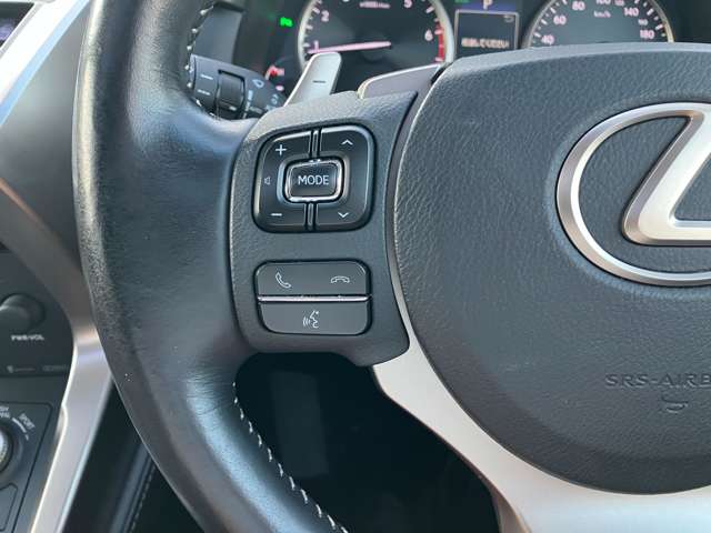 レクサス ＮＸ２００ｔ アーバンスタイル H29年 (関東) 99