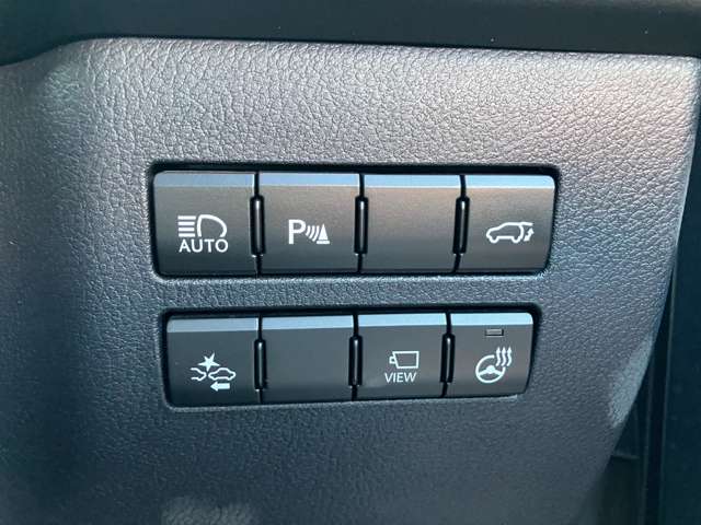 レクサス ＮＸ２００ｔ アーバンスタイル H29年 (関東) 99