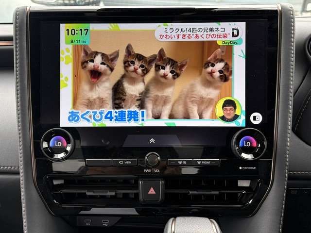 トヨタ アルファード ２．５ Ｚ R7年 (甲信越・北陸) 99