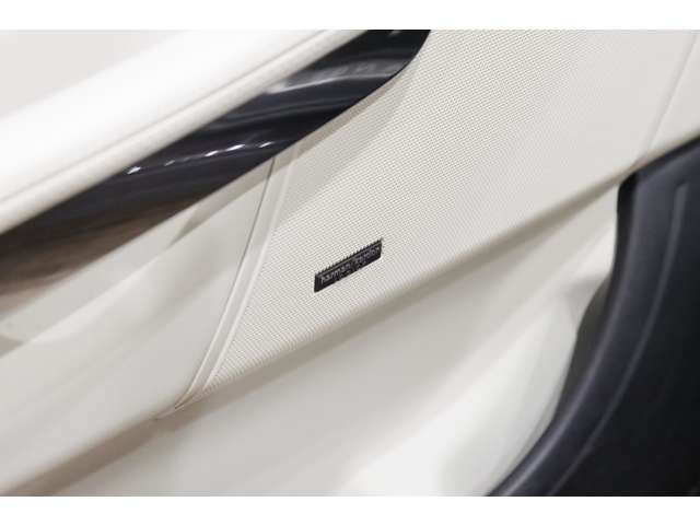 ランドローバー レンジローバー スポーツ ５．０ Ｖ８ スーパーチャージド ４ＷＤ H22年 (関東) 99