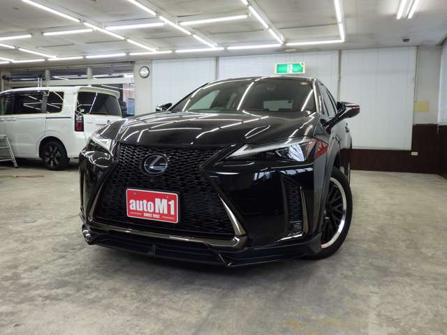 レクサス ＵＸ２５０ｈ ２５０Ｈ Ｆスポーツ ４ＷＤ R1年 (東北) 99