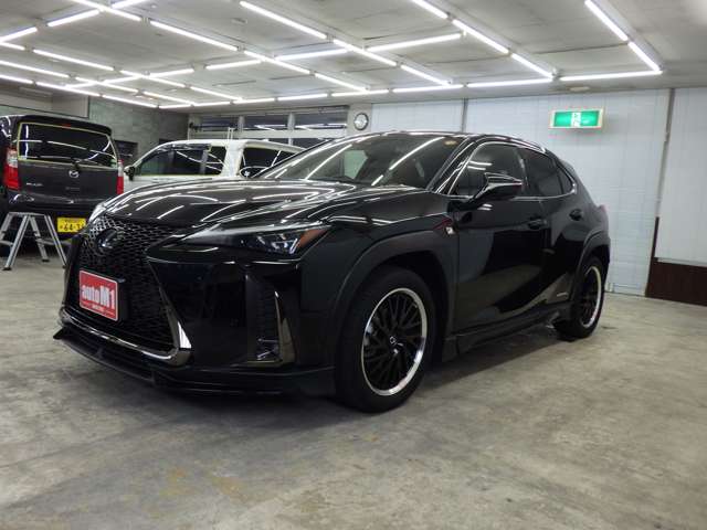 レクサス ＵＸ２５０ｈ ２５０Ｈ Ｆスポーツ ４ＷＤ R1年 (東北) 99
