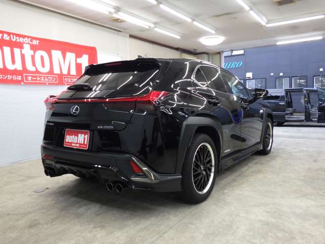 レクサス ＵＸ２５０ｈ ２５０Ｈ Ｆスポーツ ４ＷＤ R1年 (東北) 99
