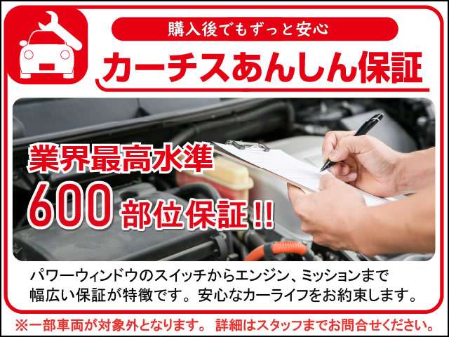 日産 サファリ ４．８ グランロードリミテッド ４ＷＤ H18年 () 99