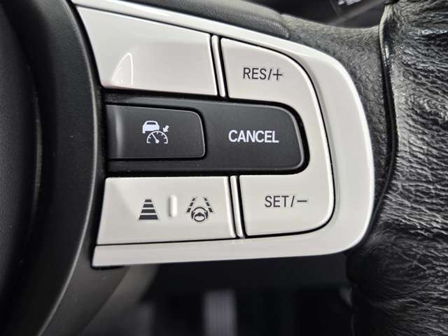 ホンダ フィット １．３ クロスター R2年 (中国) 99