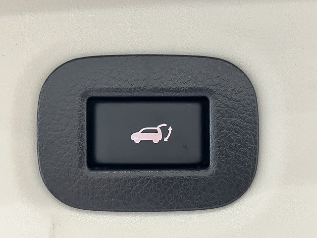 日産 エクストレイル ２．０ ２０ＸＩ ２列車 R1年 (近畿) 99