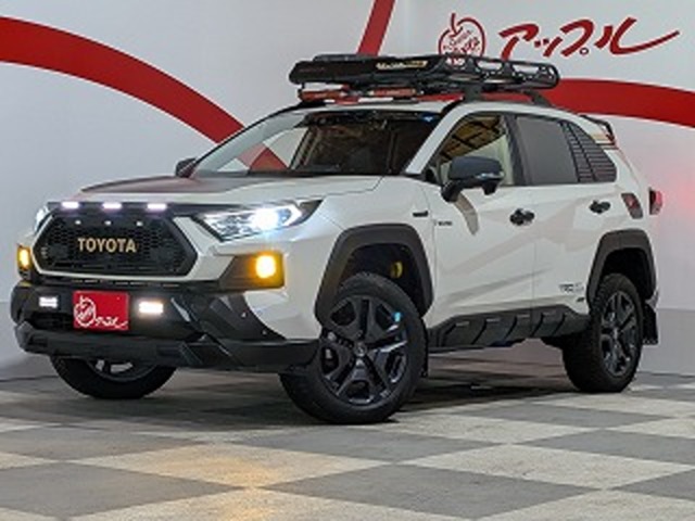トヨタ ＲＡＶ４ ２．５ ハイブリッド Ｇ Ｅ－ＦＯＵＲ ４ＷＤ R1年 (東北) 99