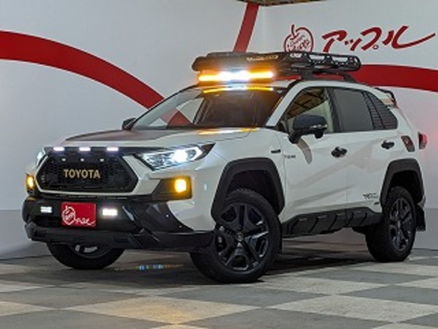 トヨタ ＲＡＶ４ ２．５ ハイブリッド Ｇ Ｅ－ＦＯＵＲ ４ＷＤ R1年 (東北) 99