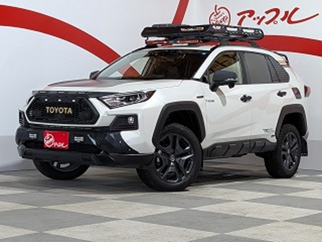 トヨタ ＲＡＶ４ ２．５ ハイブリッド Ｇ Ｅ－ＦＯＵＲ ４ＷＤ R1年 (東北) 99