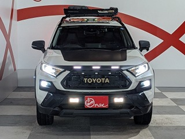 トヨタ ＲＡＶ４ ２．５ ハイブリッド Ｇ Ｅ－ＦＯＵＲ ４ＷＤ R1年 (東北) 99