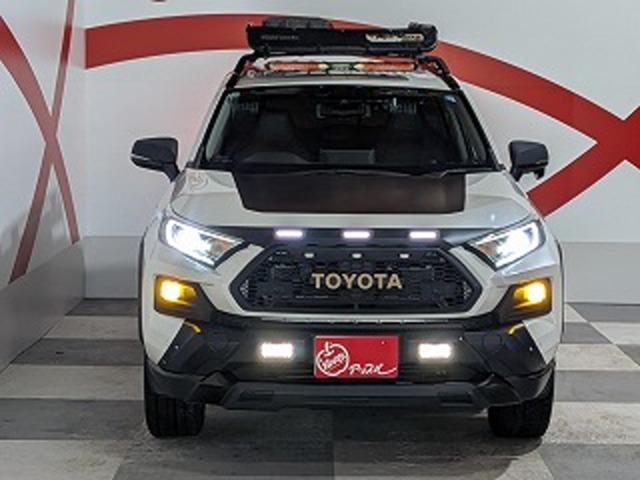 トヨタ ＲＡＶ４ ２．５ ハイブリッド Ｇ Ｅ－ＦＯＵＲ ４ＷＤ R1年 (東北) 99