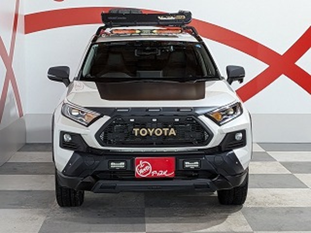 トヨタ ＲＡＶ４ ２．５ ハイブリッド Ｇ Ｅ－ＦＯＵＲ ４ＷＤ R1年 (東北) 99