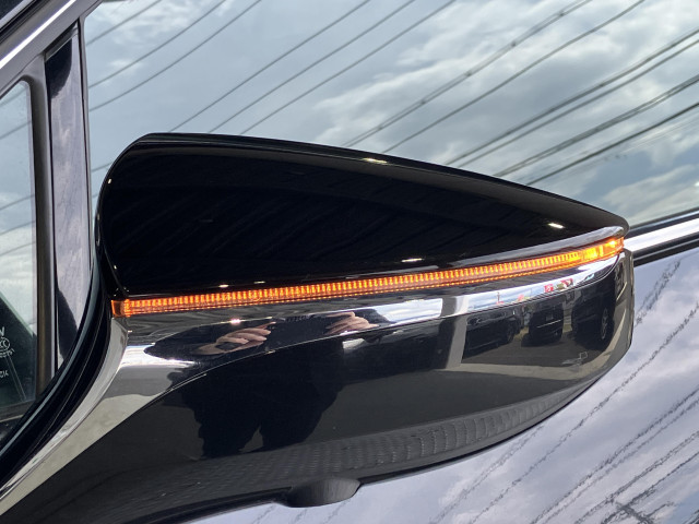 レクサス ＵＸ２５０ｈ Ｆスポーツ　スタイルブルー R3年 (近畿) 99