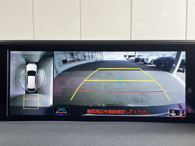 レクサス ＵＸ２５０ｈ Ｆスポーツ　スタイルブルー R3年 (近畿) 99