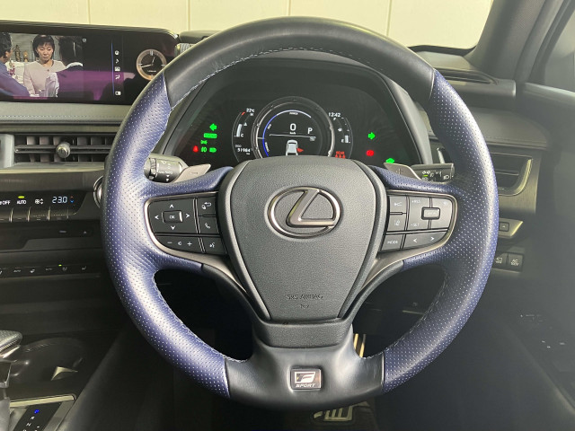 レクサス ＵＸ２５０ｈ Ｆスポーツ　スタイルブルー R3年 (近畿) 99