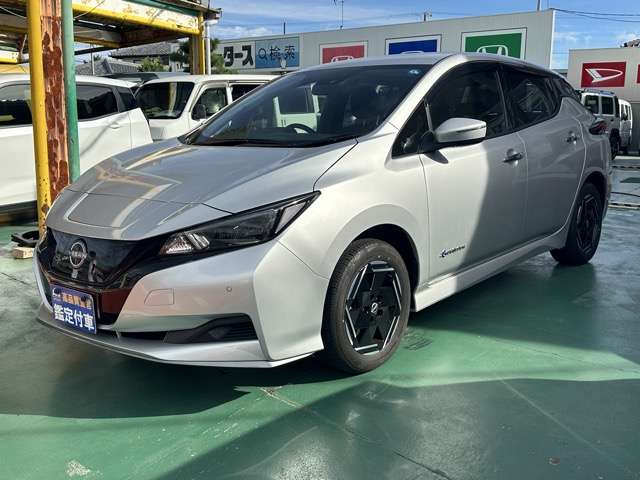 日産 リーフ ｅ＋　Ｘ R6年 (東海) 99
