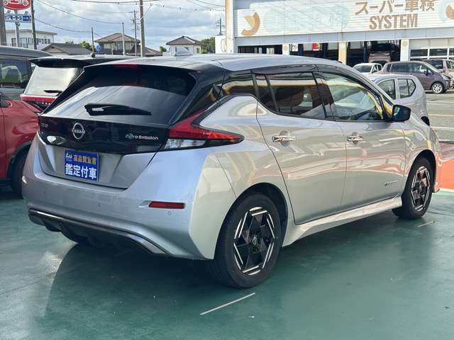 日産 リーフ ｅ＋　Ｘ R6年 (東海) 99