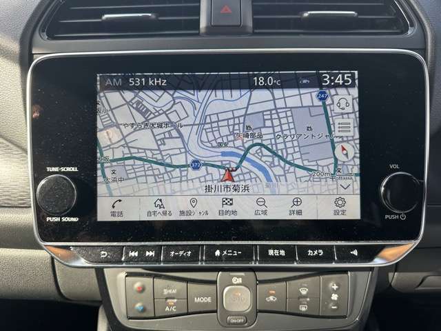 日産 リーフ ｅ＋　Ｘ R6年 (東海) 99