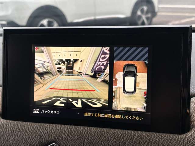 シトロエン ＤＳ３　クロスバック グランシック R2年 (甲信越・北陸) 99