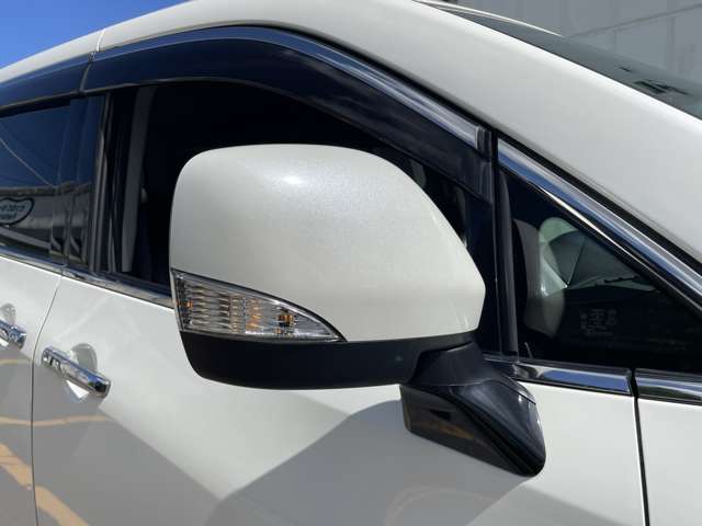 日産 エルグランド ２．５ ２５０ハイウェイスターＳ H29年 () 99