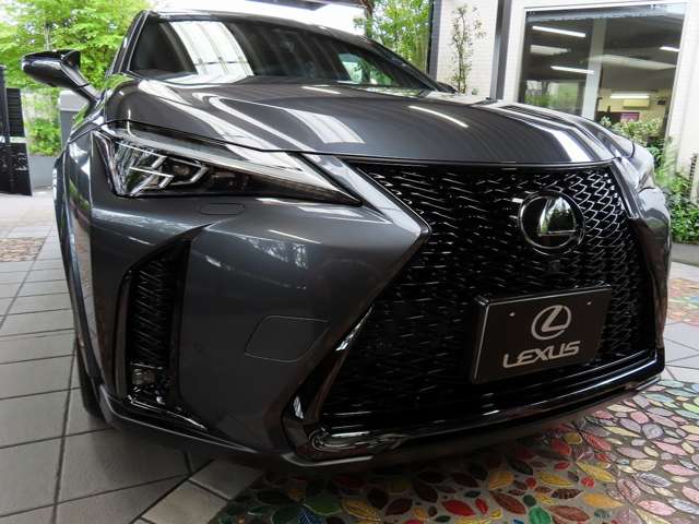 レクサス ＵＸ３００ｈ Ｆスポーツ R6年 (関東) 99