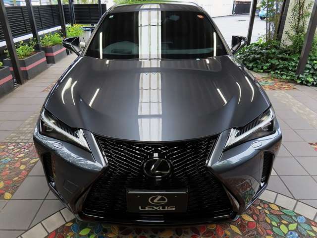 レクサス ＵＸ３００ｈ Ｆスポーツ R6年 (関東) 99