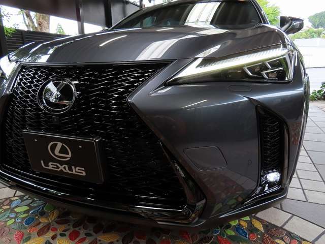 レクサス ＵＸ３００ｈ Ｆスポーツ R6年 (関東) 99