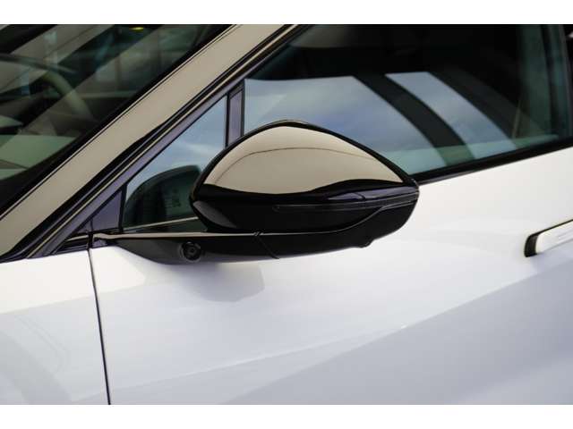 ロータス エメヤ Ｓ エグゼクティブシートパック４座席 R7年 (東北) 99