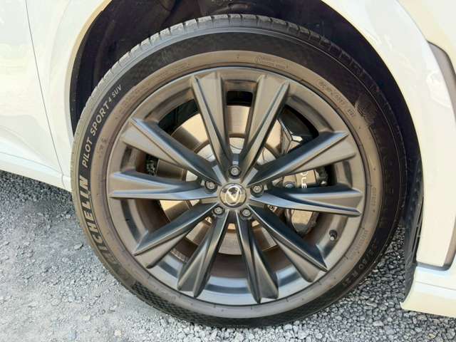 レクサス ＲＸ５００ｈ ５００Ｈ Ｆスポーツ パフォーマンス ４ＷＤ R5年 (近畿) 99