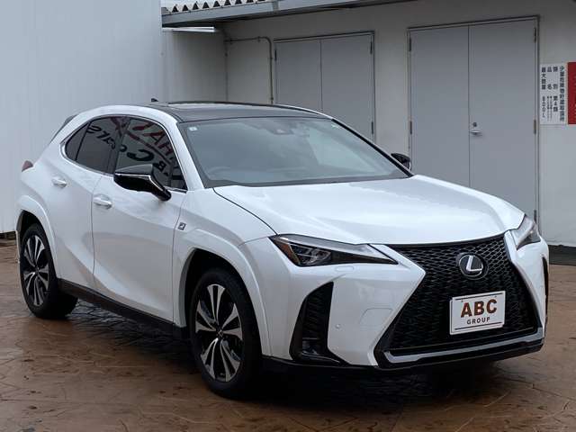 レクサス ＵＸ２５０ｈ Ｆスポーツ　エモーショナル　エクスプローラー R5年 (中国) 99