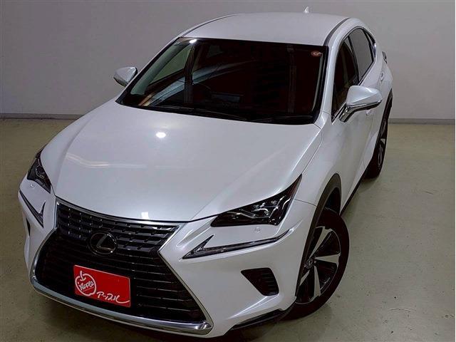 レクサス ＮＸ３００ Ｉパッケージ R2年 (関東) 99