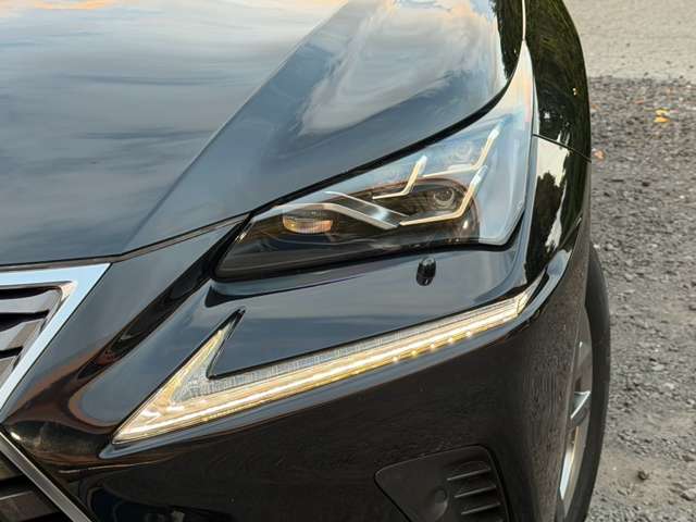 レクサス ＮＸ３００ｈ バージョンＬ H29年 (近畿) 99