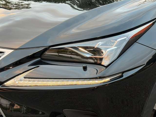 レクサス ＮＸ３００ｈ バージョンＬ H29年 (近畿) 99