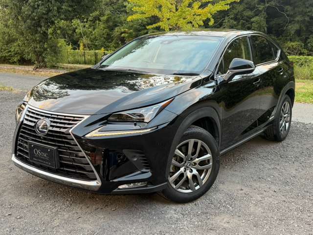 レクサス ＮＸ３００ｈ バージョンＬ H29年 (近畿) 99
