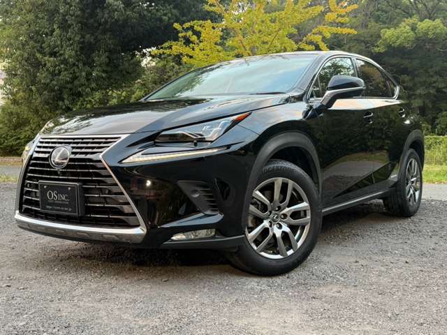 レクサス ＮＸ３００ｈ バージョンＬ H29年 (近畿) 99