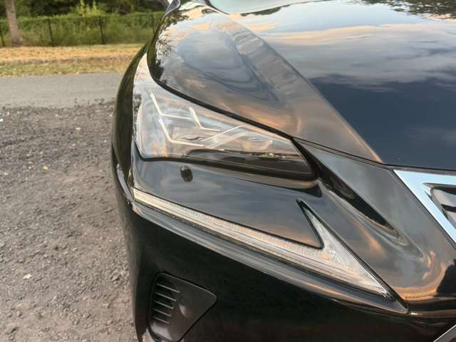 レクサス ＮＸ３００ｈ バージョンＬ H29年 (近畿) 99
