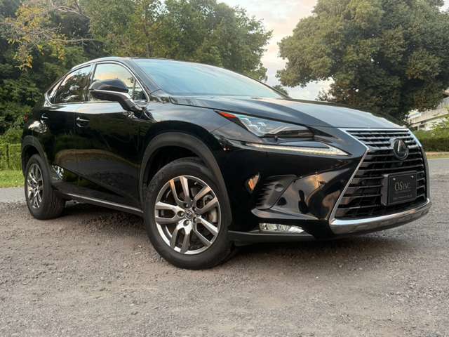 レクサス ＮＸ３００ｈ バージョンＬ H29年 (近畿) 99