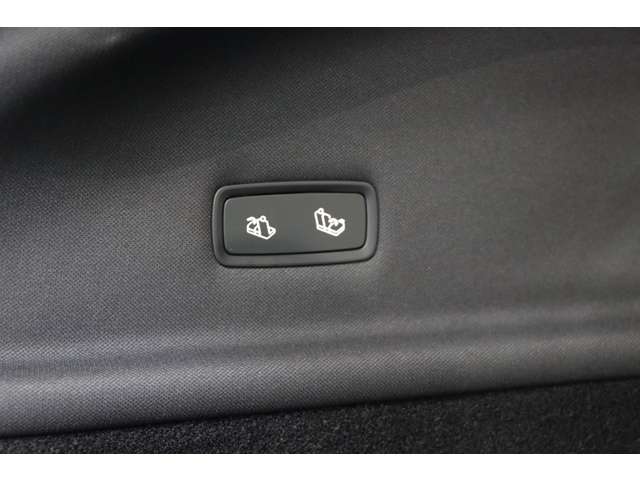 テスラ モデルＹ ＲＷＤ R7年 (近畿) 99